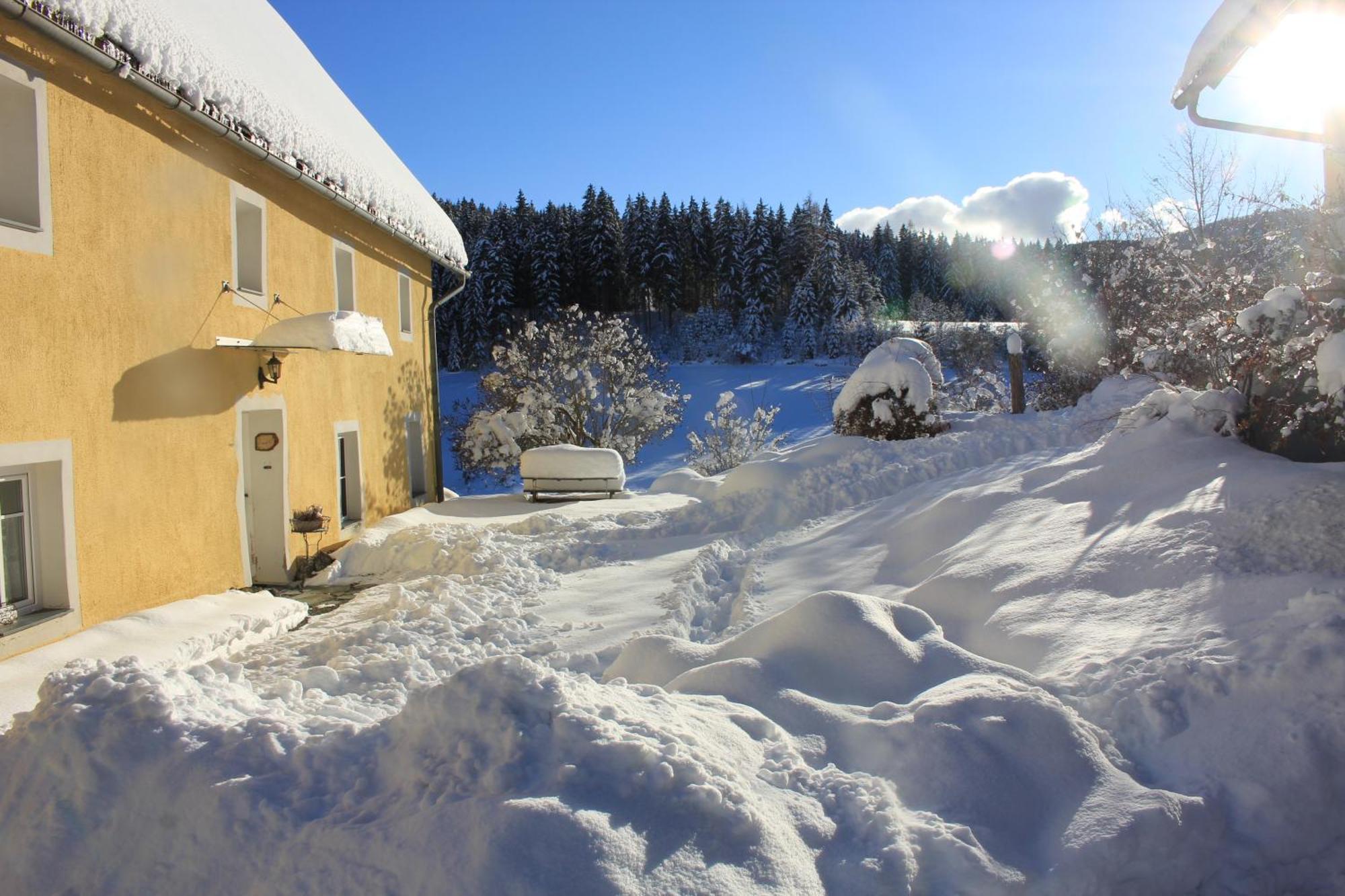 Urlaub Am Bio-Bauernhof Liebchen Villa Zeutschach Buitenkant foto