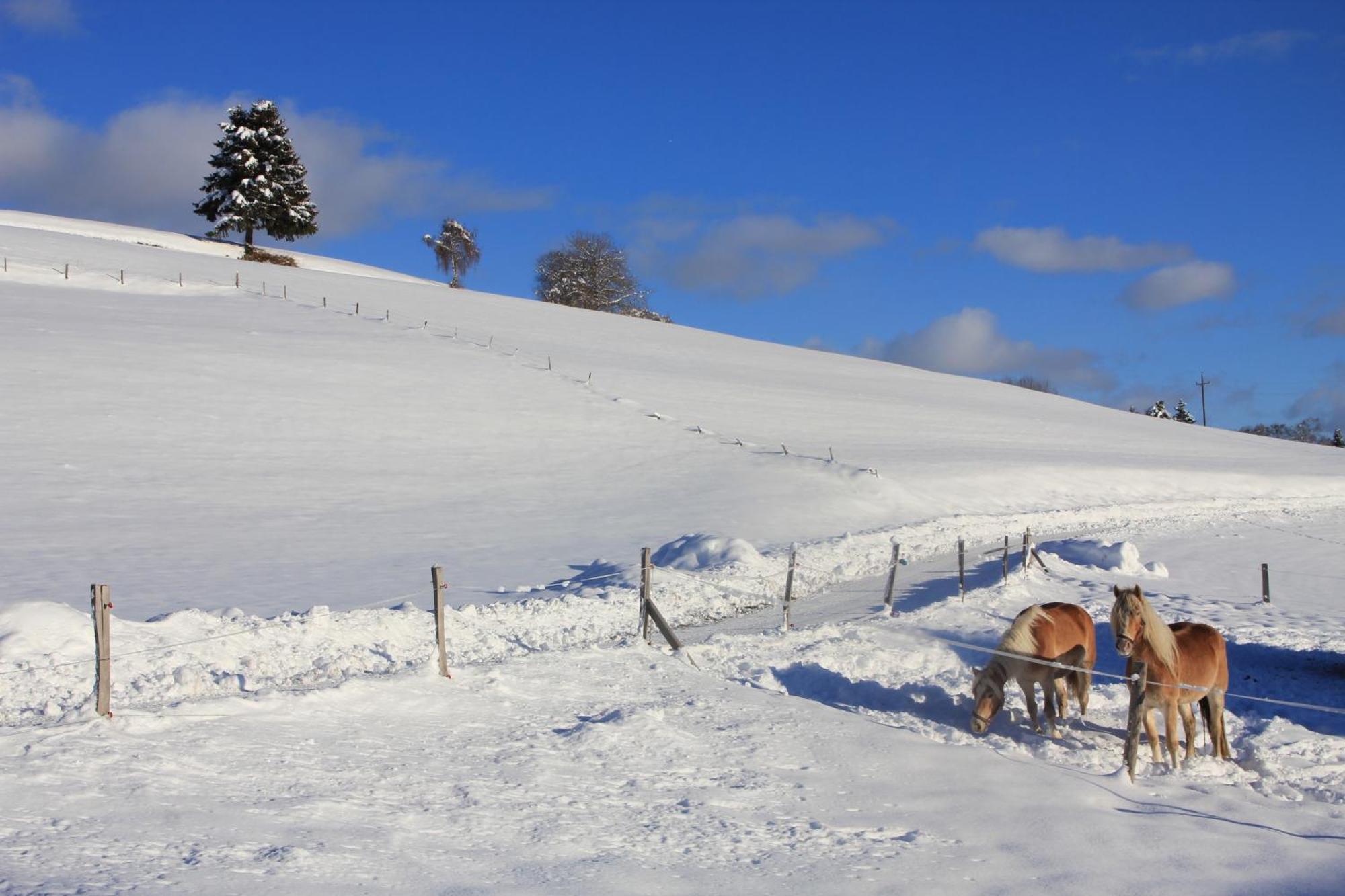 Urlaub Am Bio-Bauernhof Liebchen Villa Zeutschach Buitenkant foto