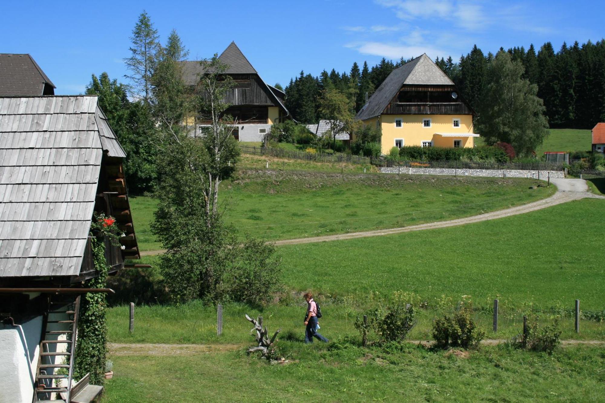 Urlaub Am Bio-Bauernhof Liebchen Villa Zeutschach Buitenkant foto