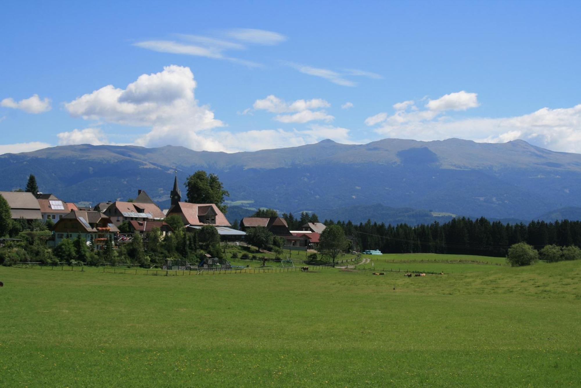 Urlaub Am Bio-Bauernhof Liebchen Villa Zeutschach Buitenkant foto