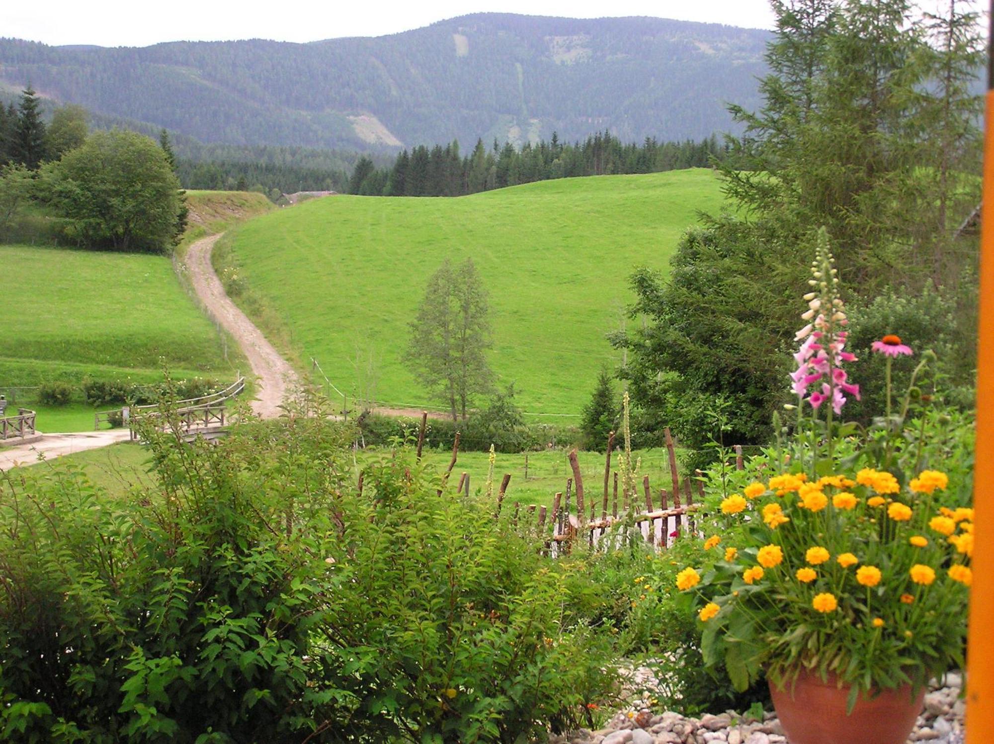 Urlaub Am Bio-Bauernhof Liebchen Villa Zeutschach Buitenkant foto