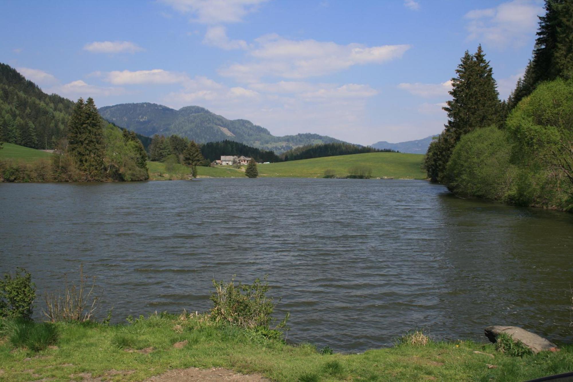 Urlaub Am Bio-Bauernhof Liebchen Villa Zeutschach Buitenkant foto