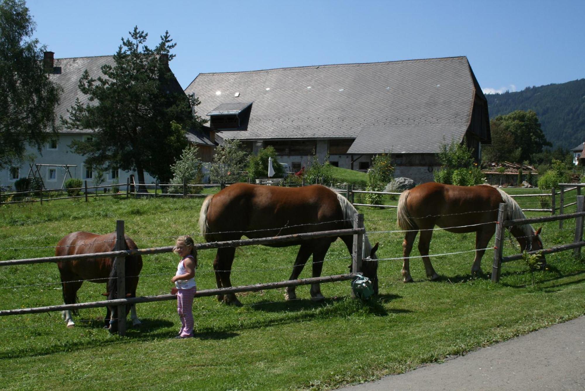 Urlaub Am Bio-Bauernhof Liebchen Villa Zeutschach Buitenkant foto