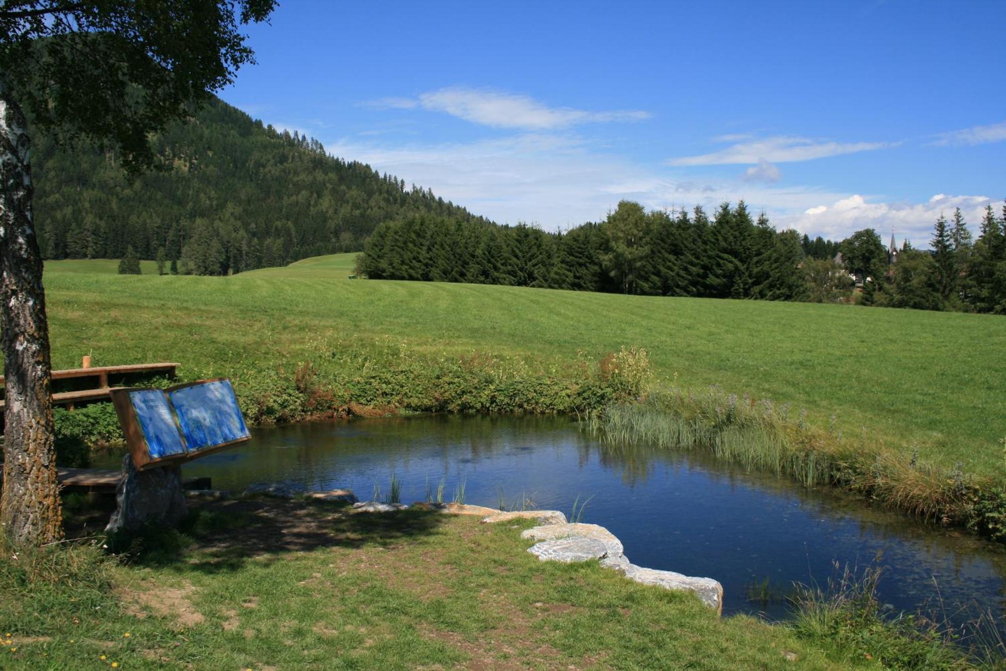 Urlaub Am Bio-Bauernhof Liebchen Villa Zeutschach Buitenkant foto